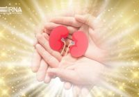 اهدای عضو در گیلان به سه بیمار زندگی دوباره بخشید
