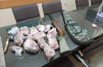 کشف لاشه کل و بز وحشی و سلاح از مخفیگاه شکارچی متخلف در رودبار کشف لاشه کل و بز وحشی و سلاح از مخفیگاه شکارچی متخلف در رودبار