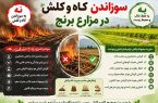 سوزاندن کاه و کلش اراضی کشاورزی ممنوع و مشمول پیگرد قانونی است