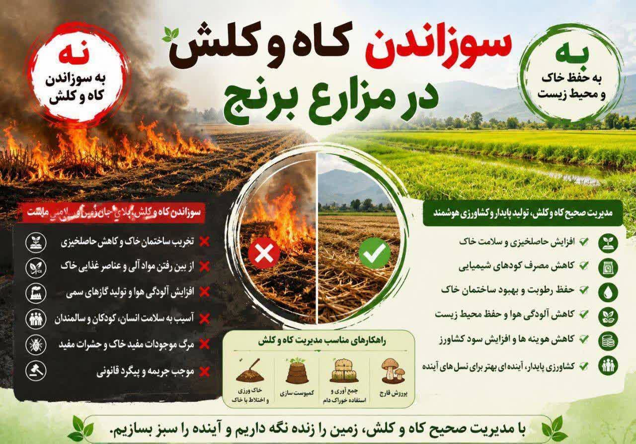 سوزاندن کاه و کلش اراضی کشاورزی ممنوع و مشمول پیگرد قانونی است