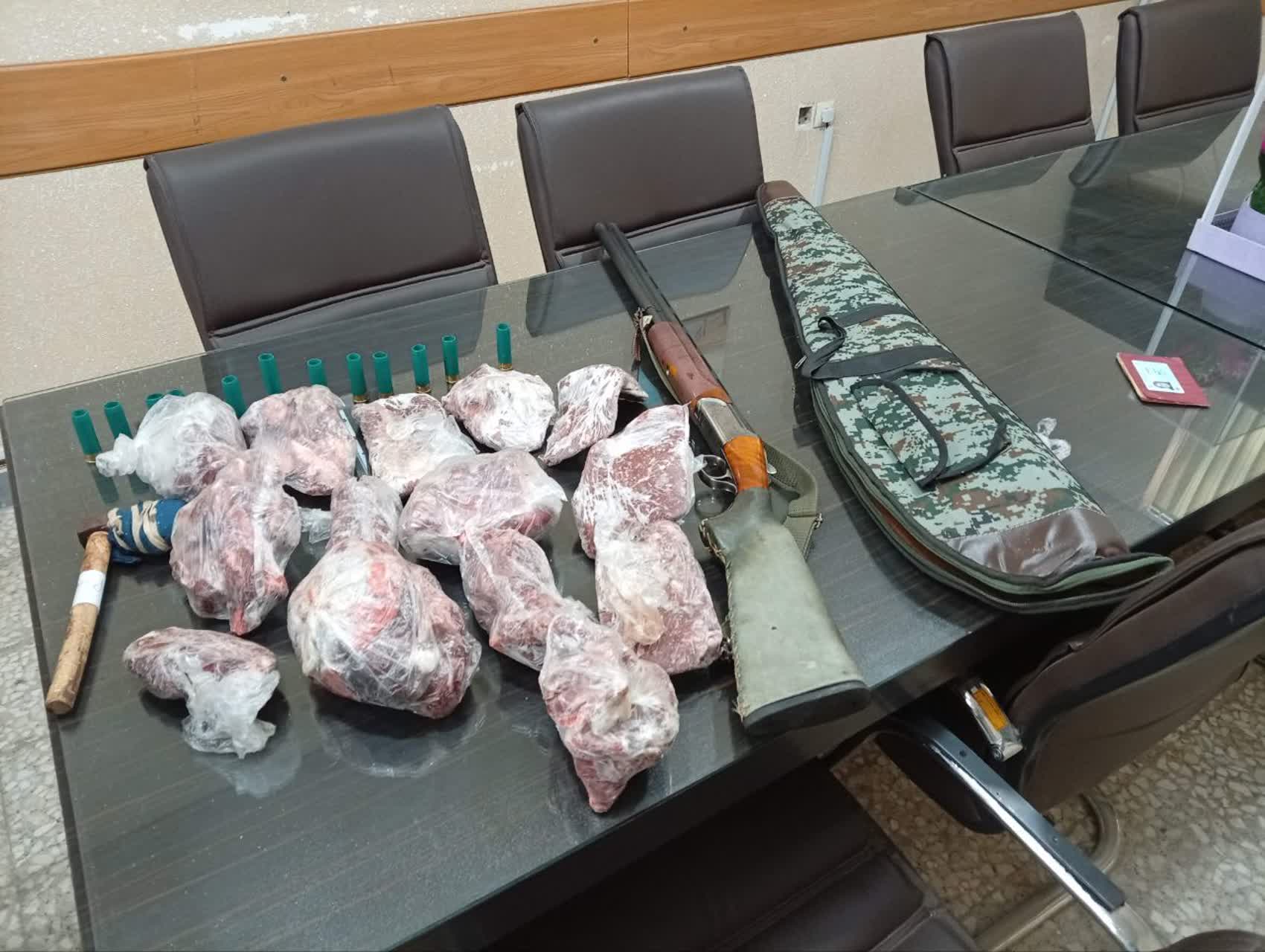کشف لاشه کل و بز وحشی و سلاح از مخفیگاه شکارچی متخلف در رودبار