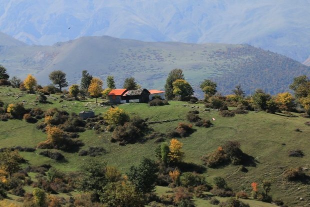 حجت الاسلام پژمانفر خبر داد؛پایان صف تأیید مسکنسازی در ۲۵۰۰ روستای مناطق حفاظتشده با تفویض اختیار به استانها