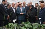 از مزرعه تا سفره؛ برنامه گیلان برای افزایش تولید محصولات کشاورزی از مزرعه تا سفره؛ برنامه گیلان برای افزایش تولید محصولات کشاورزی